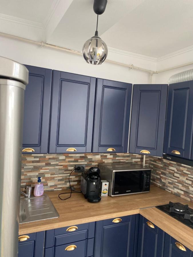 Casa Cojocaru Bed and Breakfast Turnu Măgurele Εξωτερικό φωτογραφία