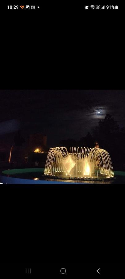 Casa Cojocaru Bed and Breakfast Turnu Măgurele Εξωτερικό φωτογραφία